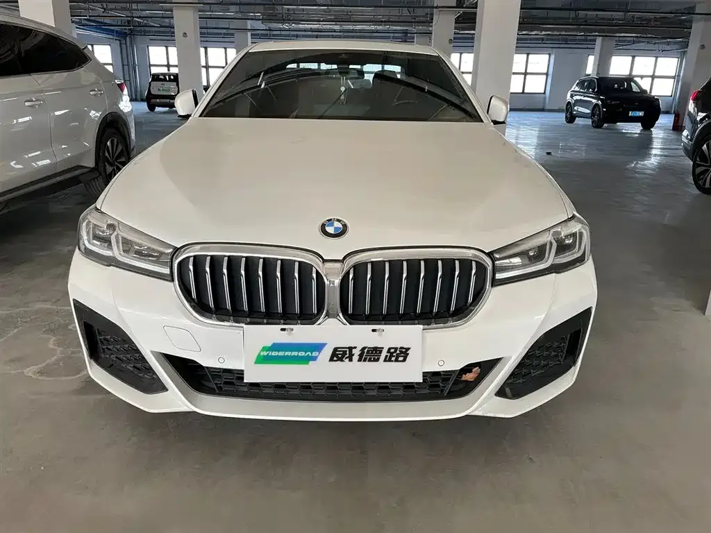 BMW 5 Series New Energy 2021 из CN, фото 4