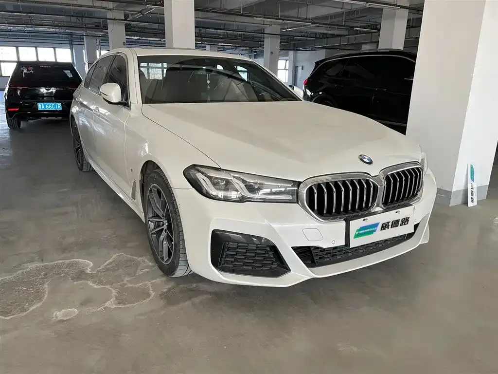 BMW 5 Series New Energy 2021 из CN, фото 2