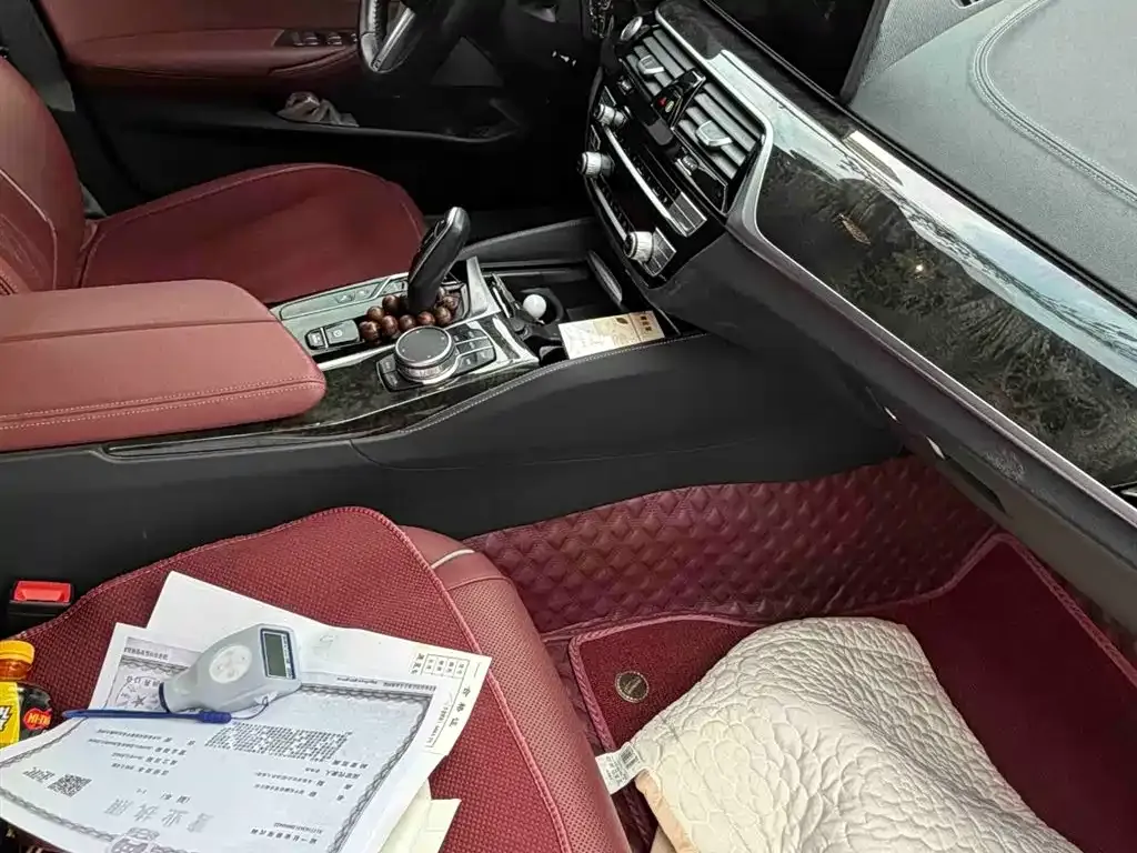 BMW 5 Series New Energy 2021 из CN, фото 8