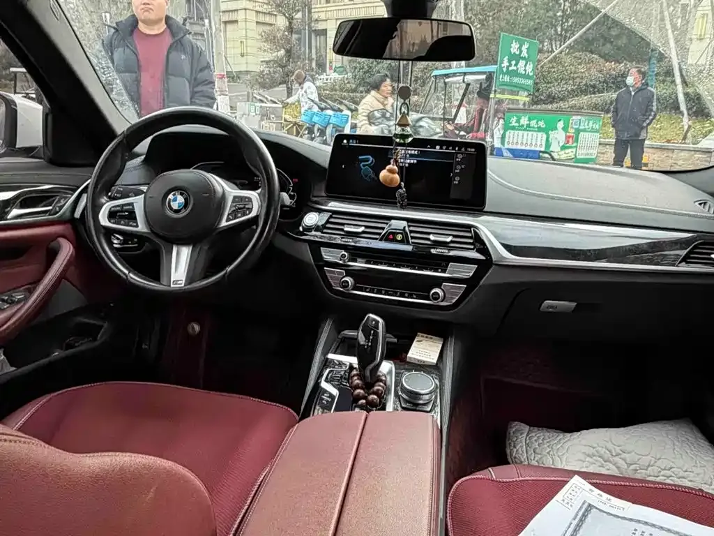 BMW 5 Series New Energy 2021 из CN, фото 6
