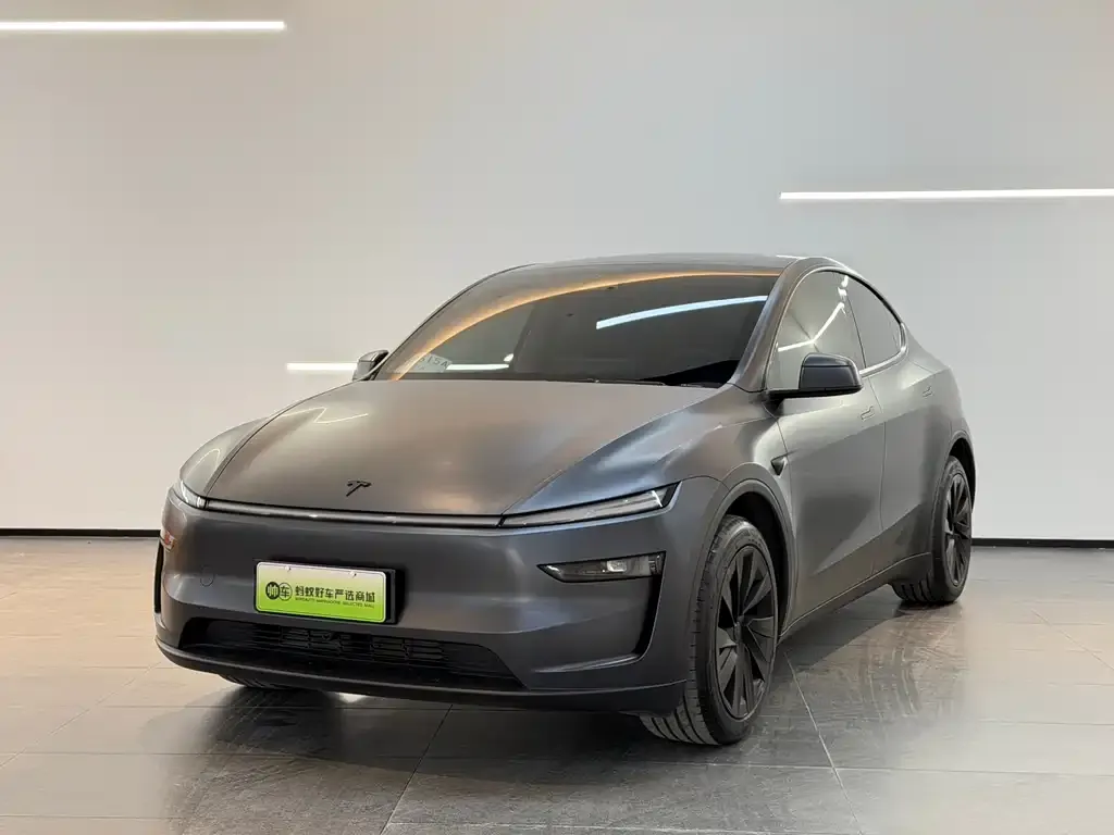 Tesla Model Y — фото 1