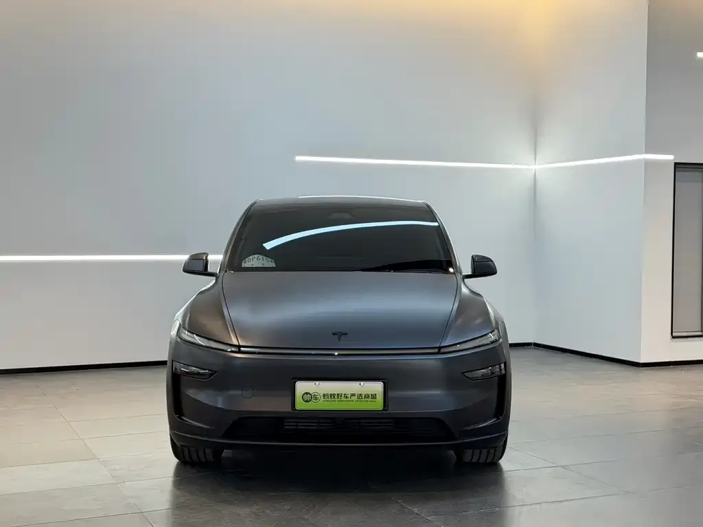 Tesla Model Y — фото 8
