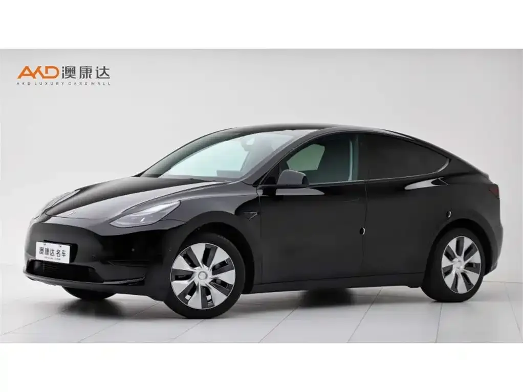 Tesla Model Y 2022 из CN, фото 1