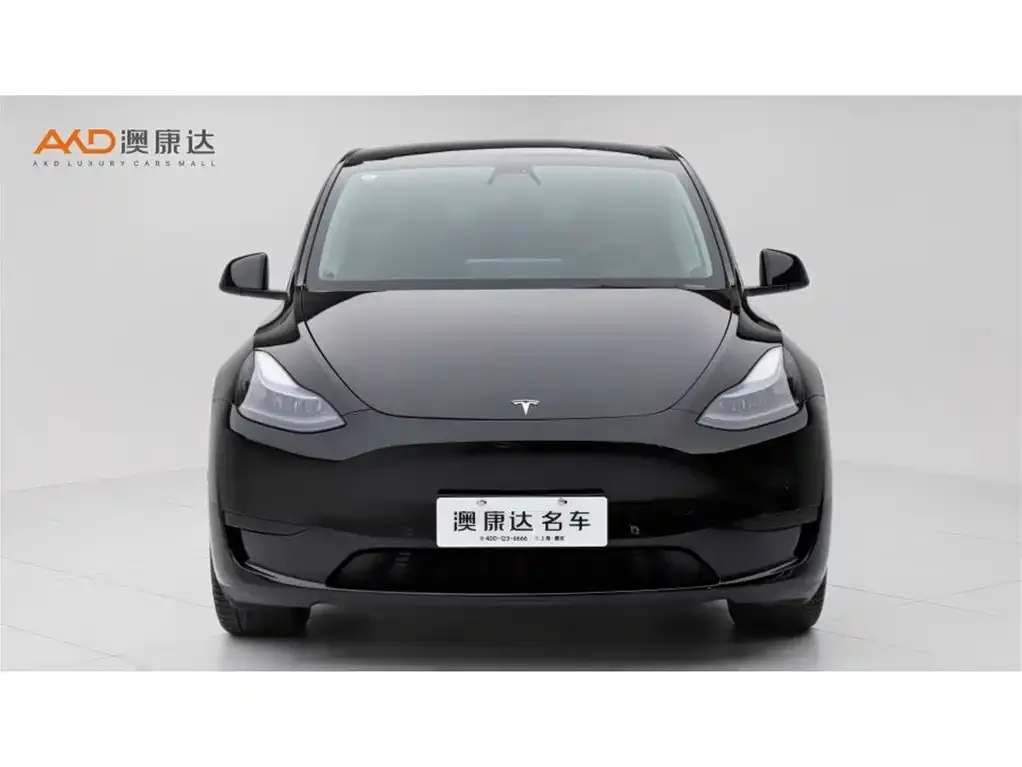 Tesla Model Y 2022 из CN, фото 9