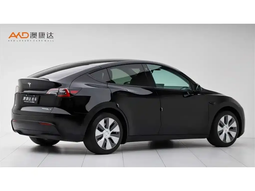 Tesla Model Y 2022 из CN, фото 5