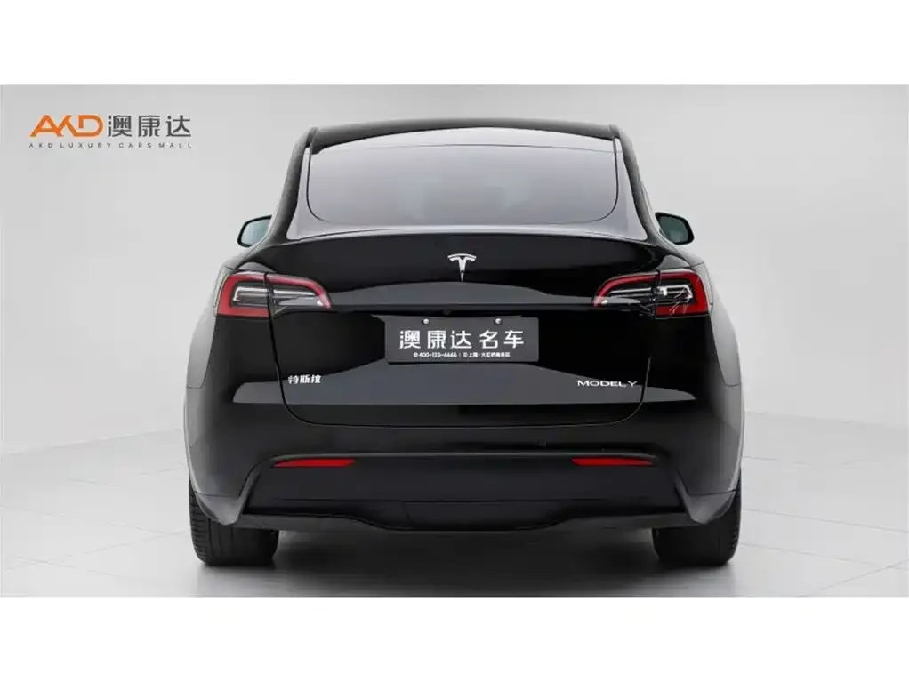 Tesla Model Y 2022 из CN, фото 7