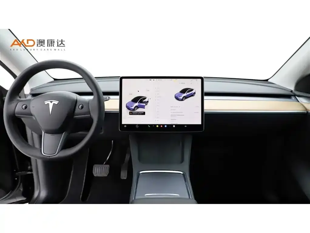 Tesla Model Y 2022 из CN, фото 8