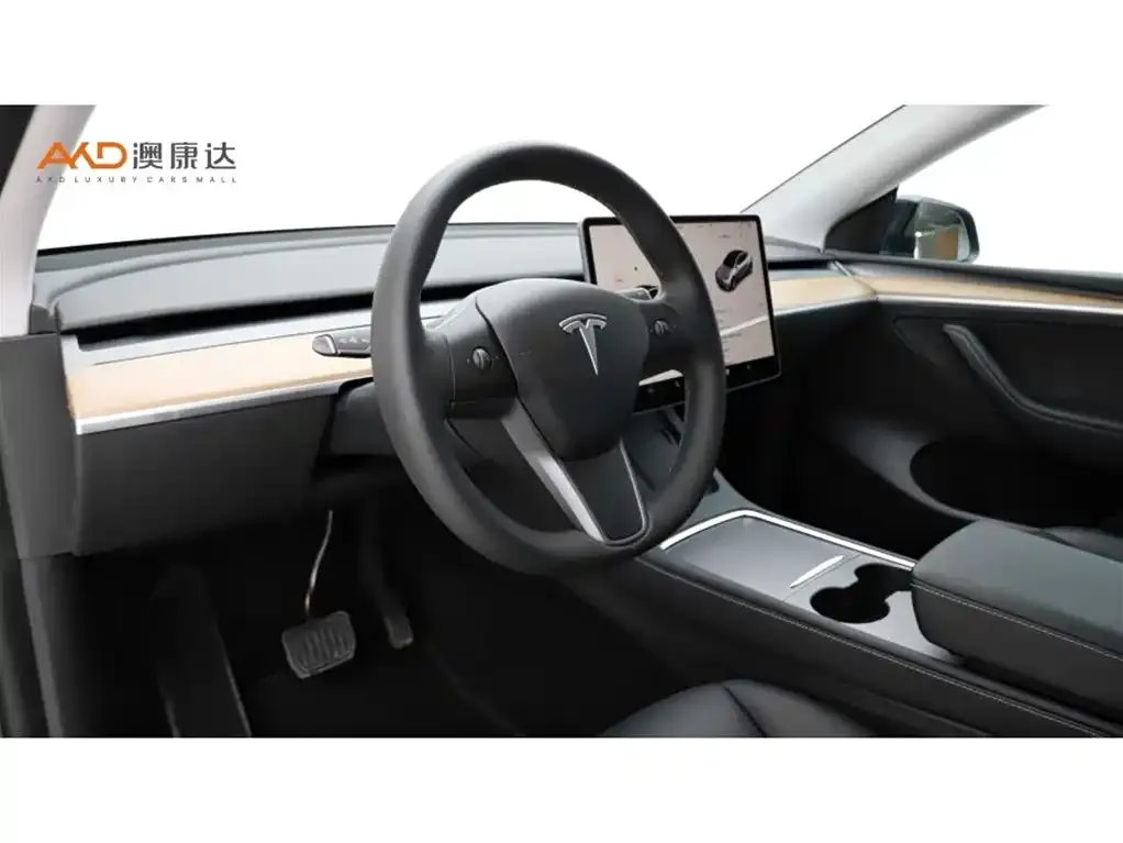 Tesla Model Y 2022 из CN, фото 6
