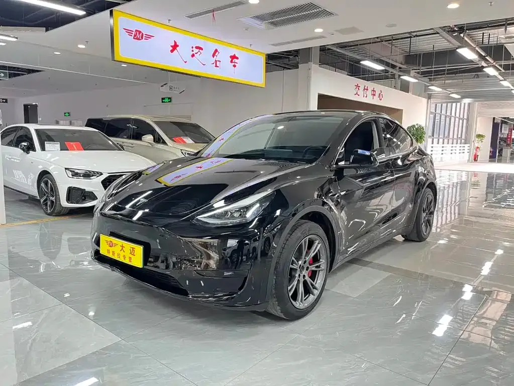 Tesla Model Y — фото 10