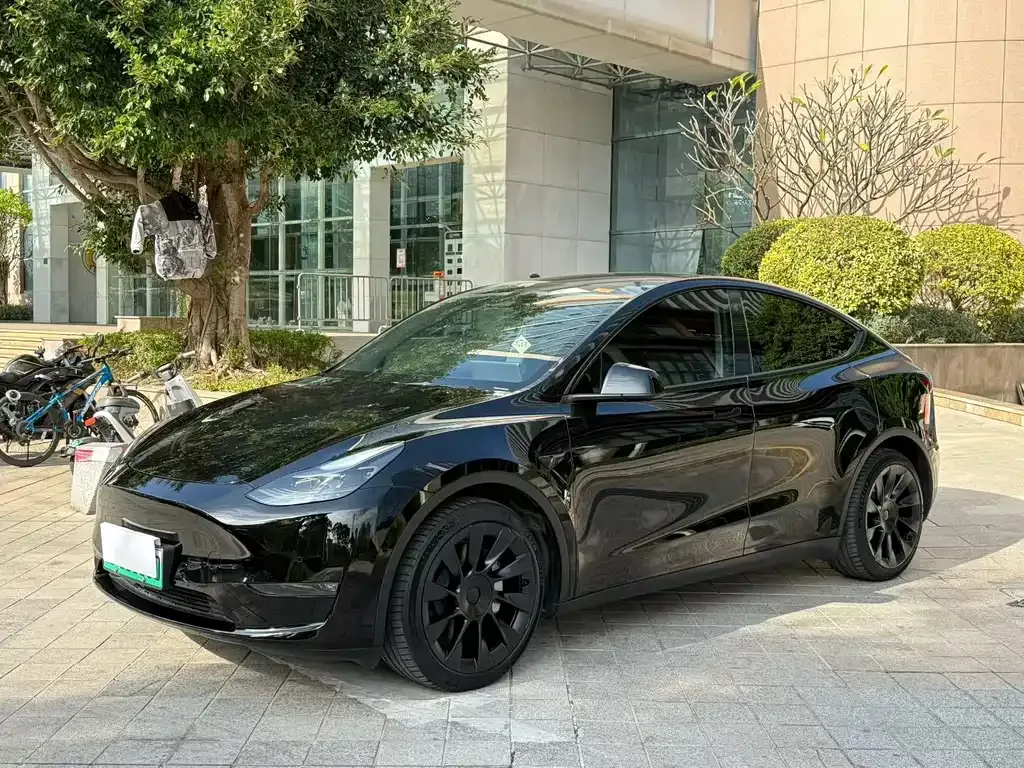 Tesla Model Y — фото 1