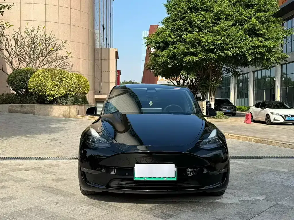 Tesla Model Y — фото 2