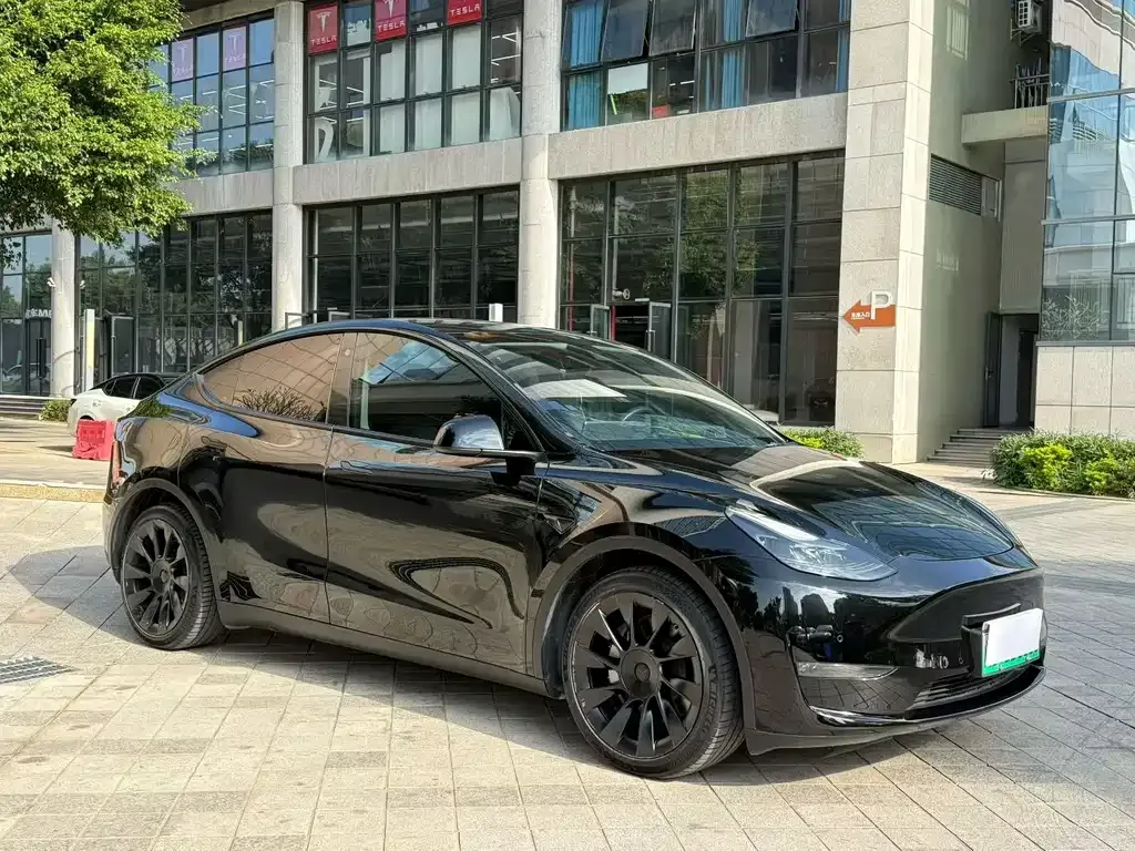 Tesla Model Y — фото 3