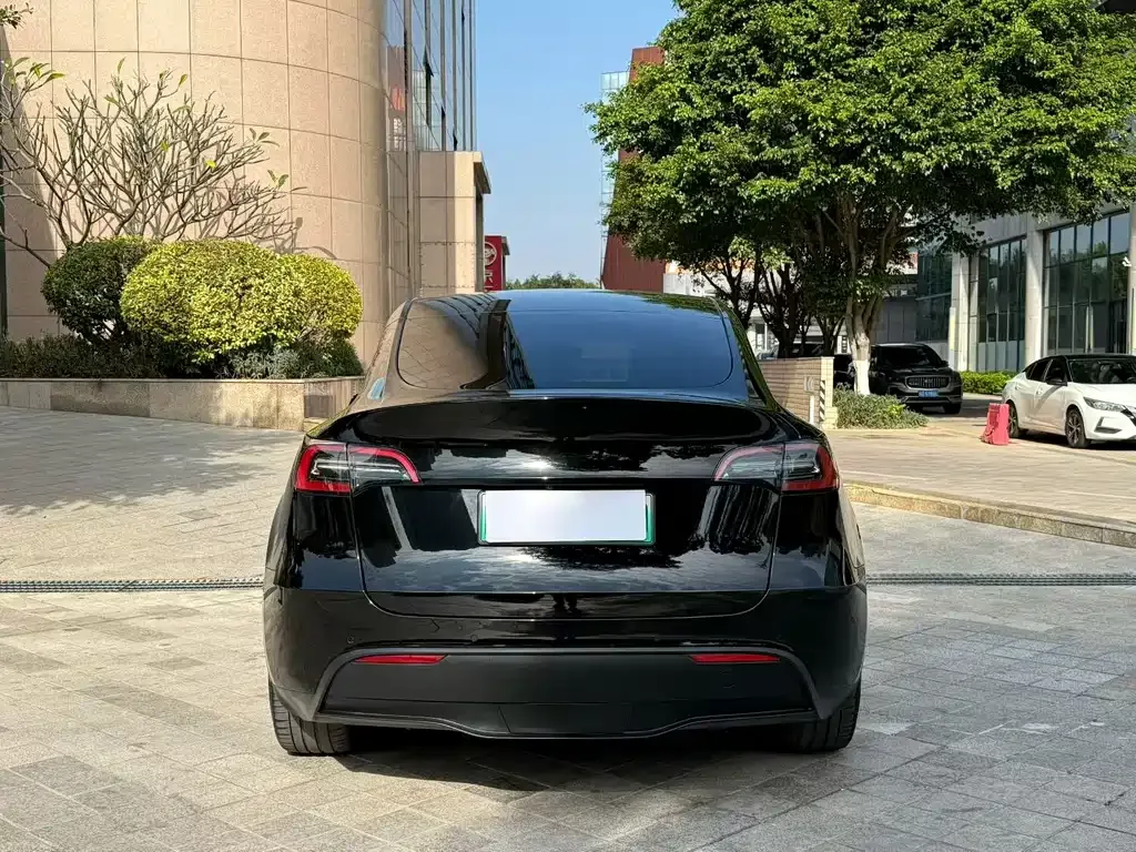 Tesla Model Y — фото 5