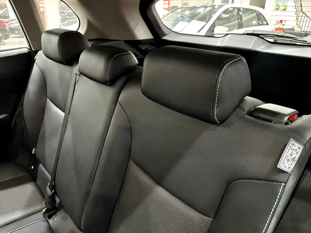 Toyota Frontlander 2022 из CN, фото 9