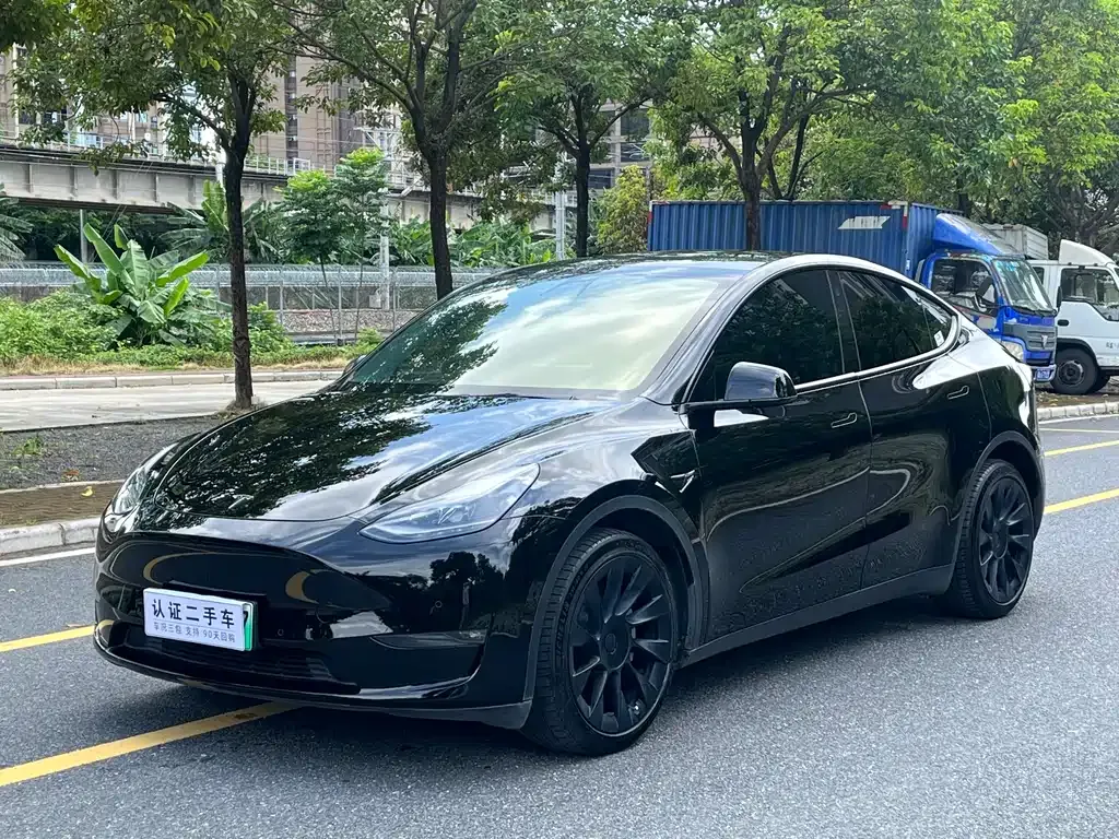 Tesla Model Y 2021 из CN, фото 1