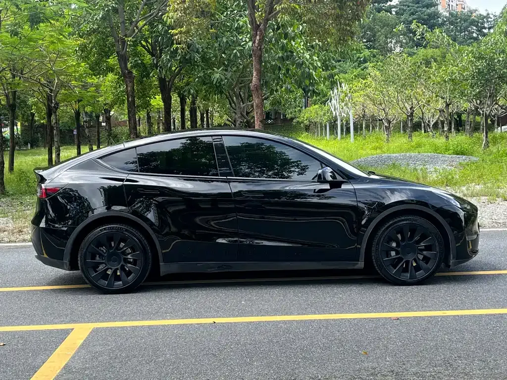 Tesla Model Y 2021 из CN, фото 10