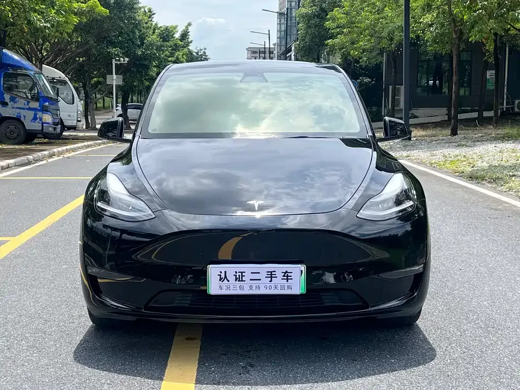 Tesla Model Y 2021 из CN, фото 7