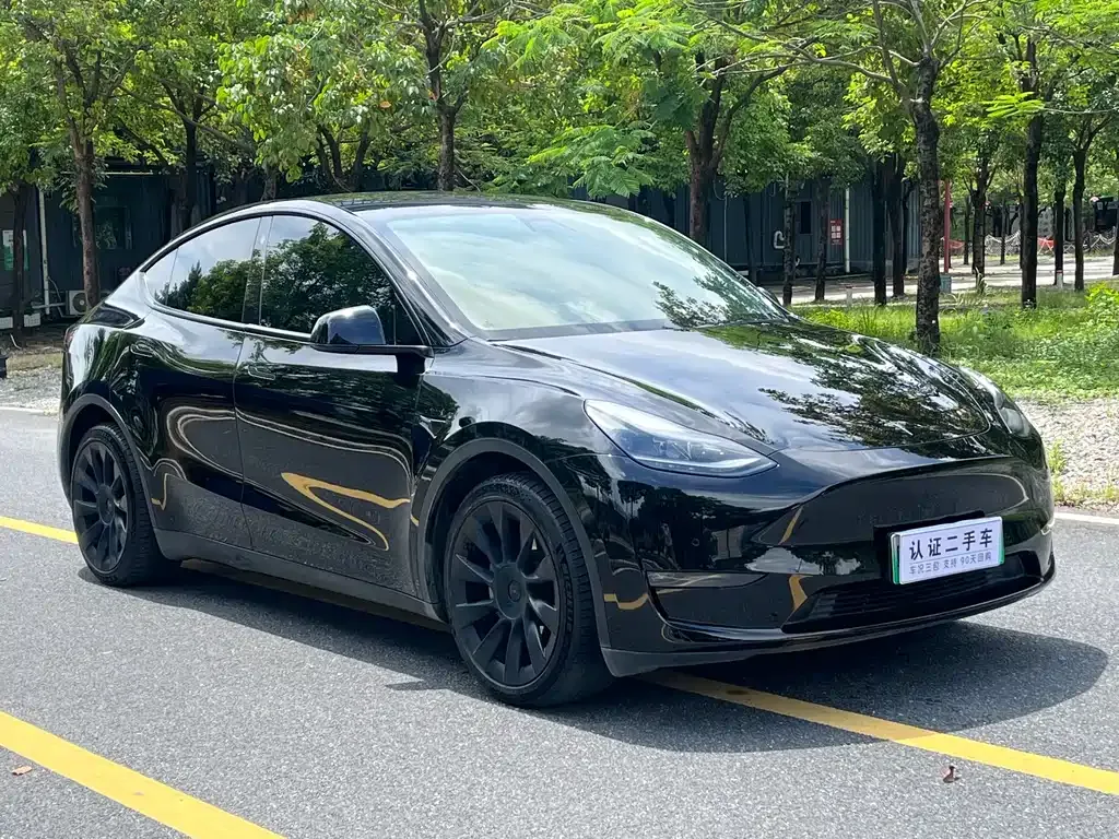 Tesla Model Y 2021 из CN, фото 6