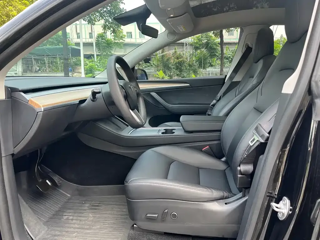 Tesla Model Y 2021 из CN, фото 2