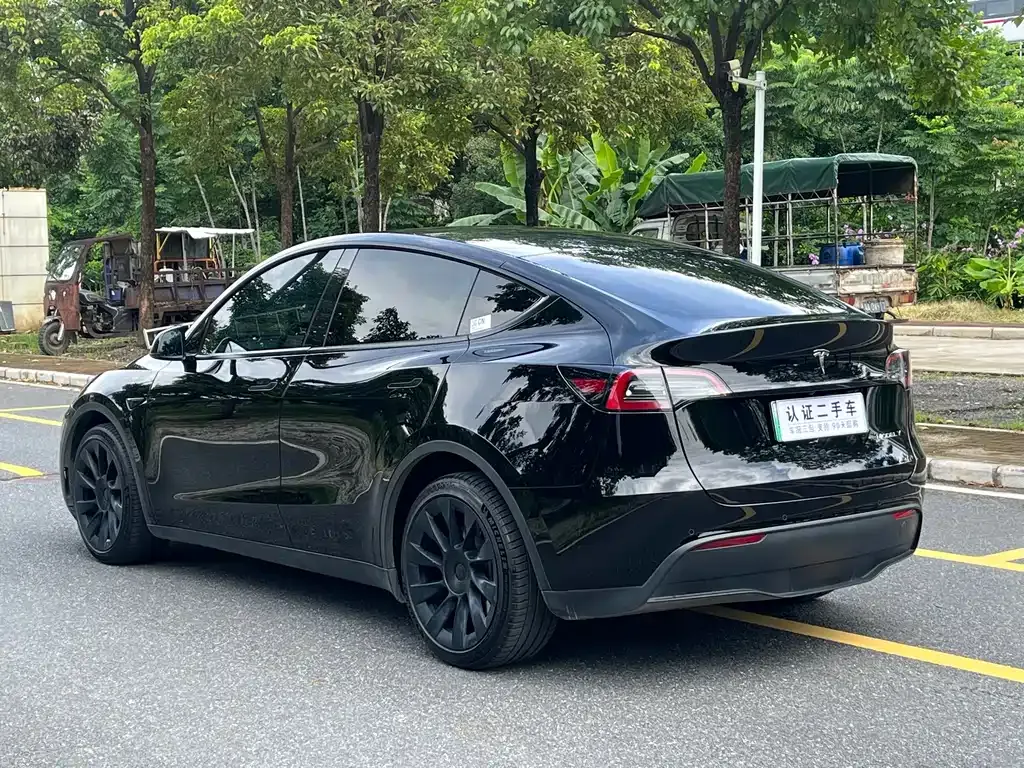 Tesla Model Y 2021 из CN, фото 5