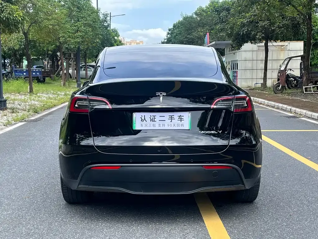 Tesla Model Y 2021 из CN, фото 8