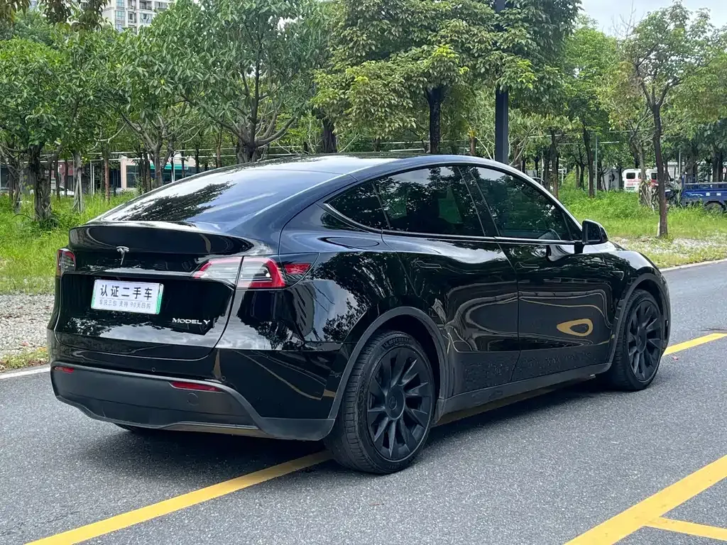 Tesla Model Y 2021 из CN, фото 9