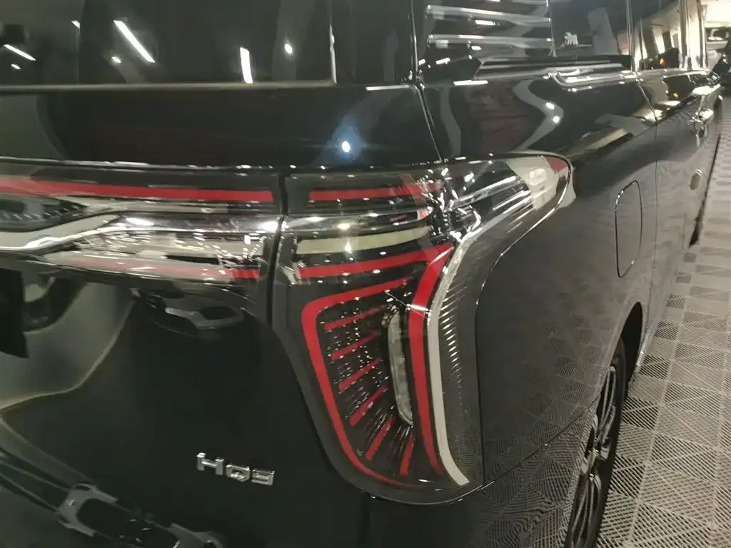 Hongqi HQ9 2023 из CN, фото 9