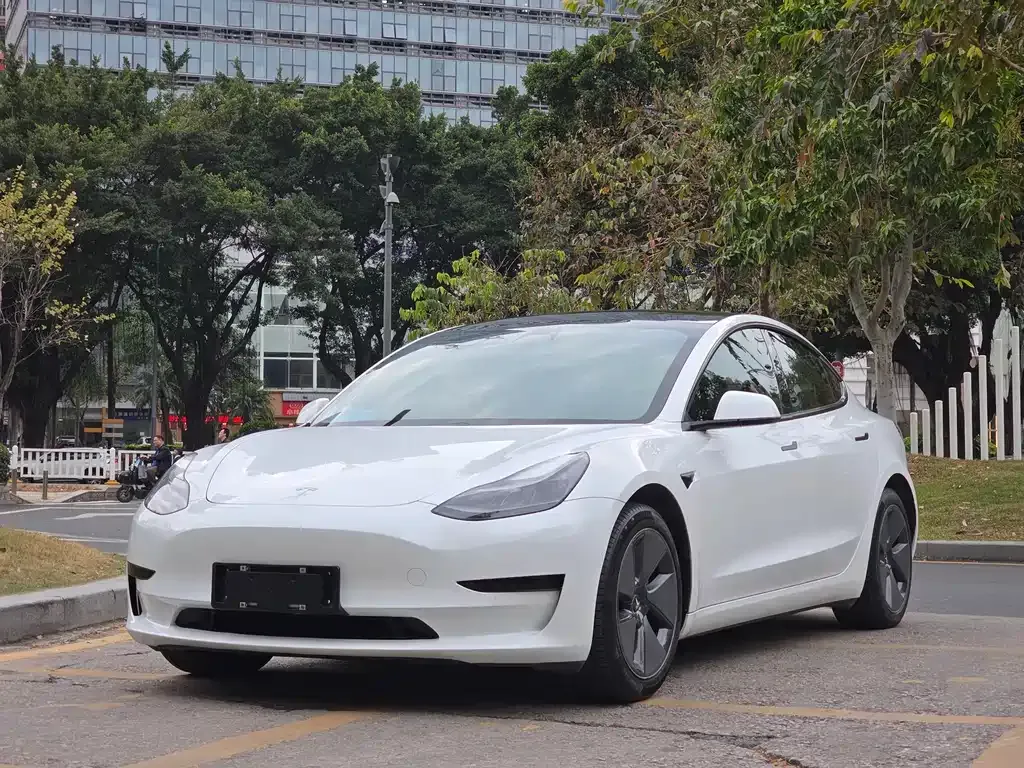 Tesla Model 3 2021 из CN, фото 1