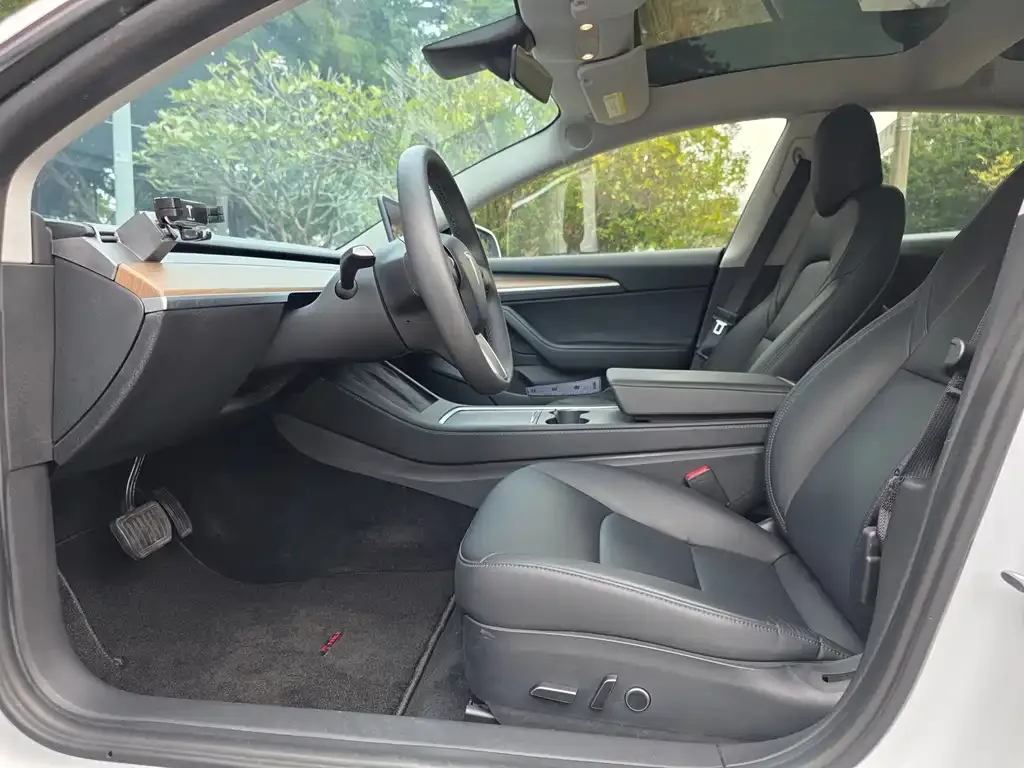 Tesla Model 3 2021 из CN, фото 7
