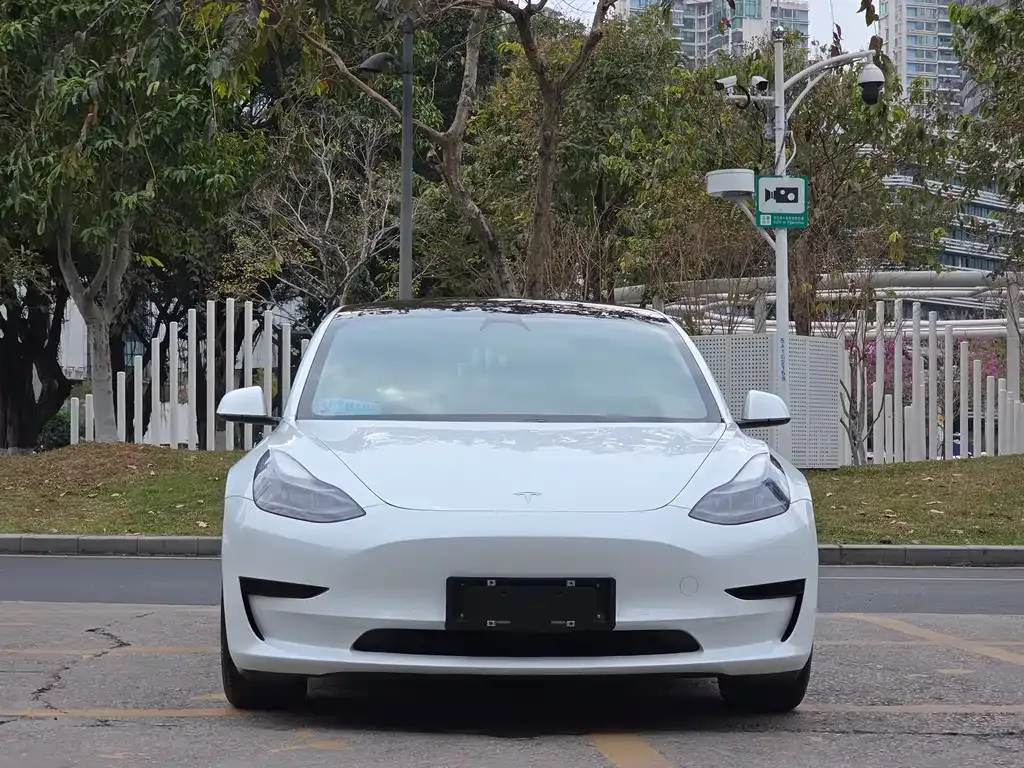 Tesla Model 3 2021 из CN, фото 10