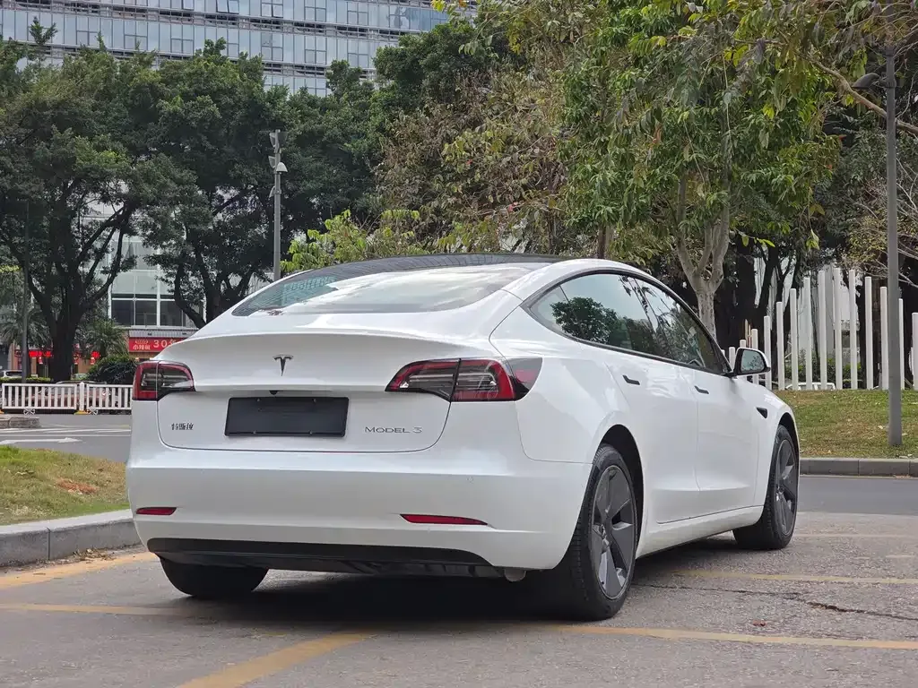 Tesla Model 3 2021 из CN, фото 9
