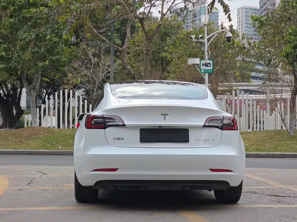 Tesla Model 3 2021 из CN, фото 4