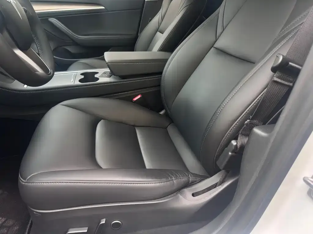 Tesla Model 3 2021 из CN, фото 3