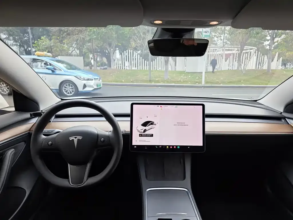 Tesla Model 3 2021 из CN, фото 6