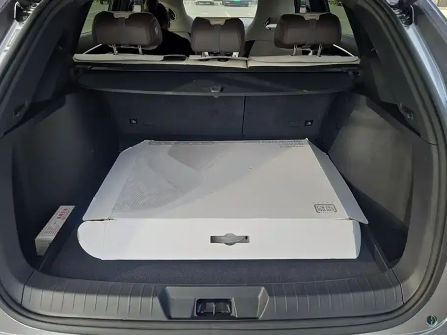 BYD PLUS New Energy 2025 из CN, фото 4