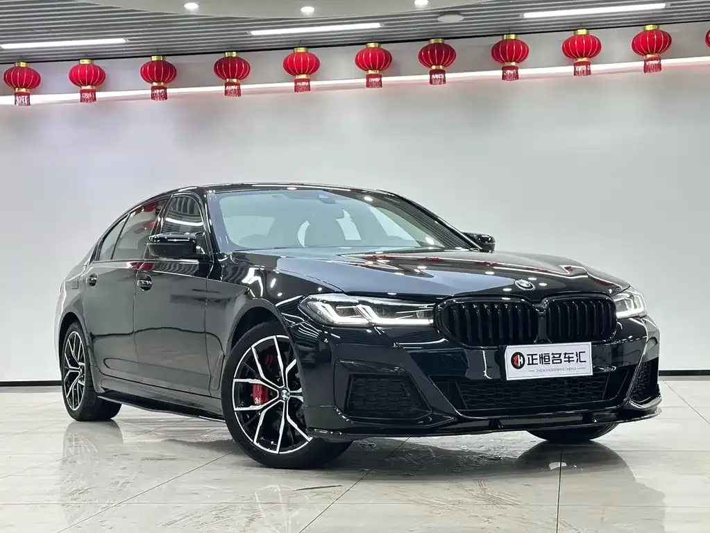 BMW 5 Series 2021 из CN, фото 10