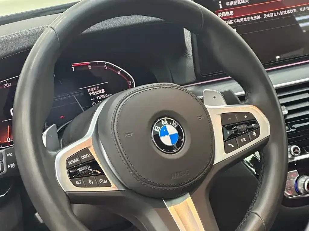 BMW 5 Series 2021 из CN, фото 2