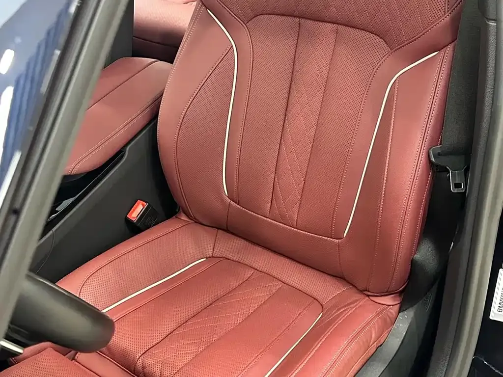 BMW 5 Series 2021 из CN, фото 9
