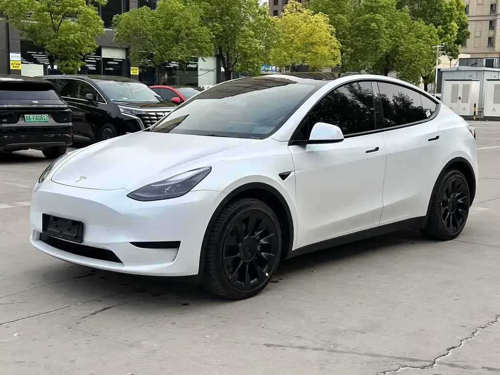 Tesla Model Y 2021 из CN, фото 1