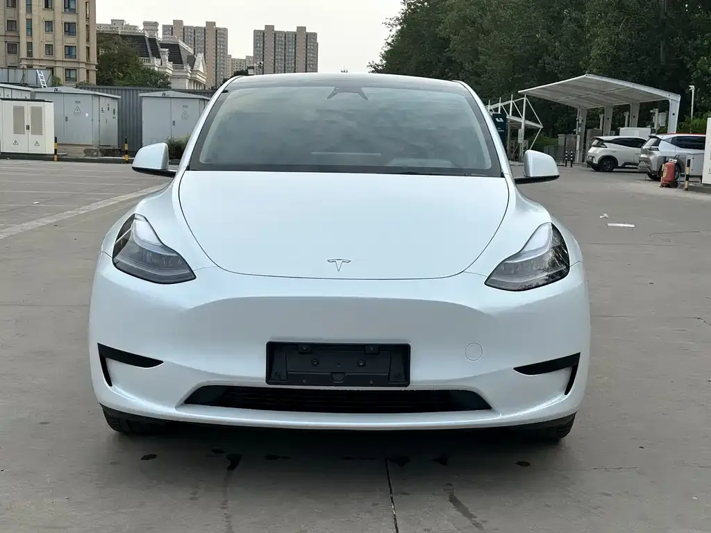 Tesla Model Y 2021 из CN, фото 2