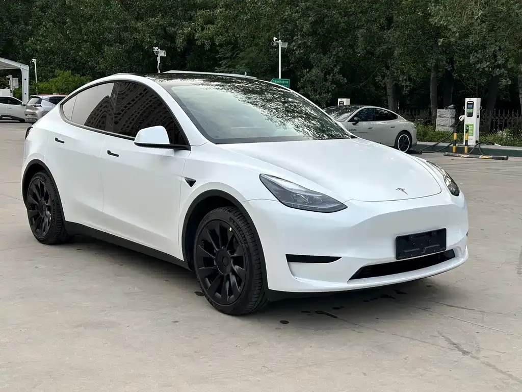 Tesla Model Y 2021 из CN, фото 6