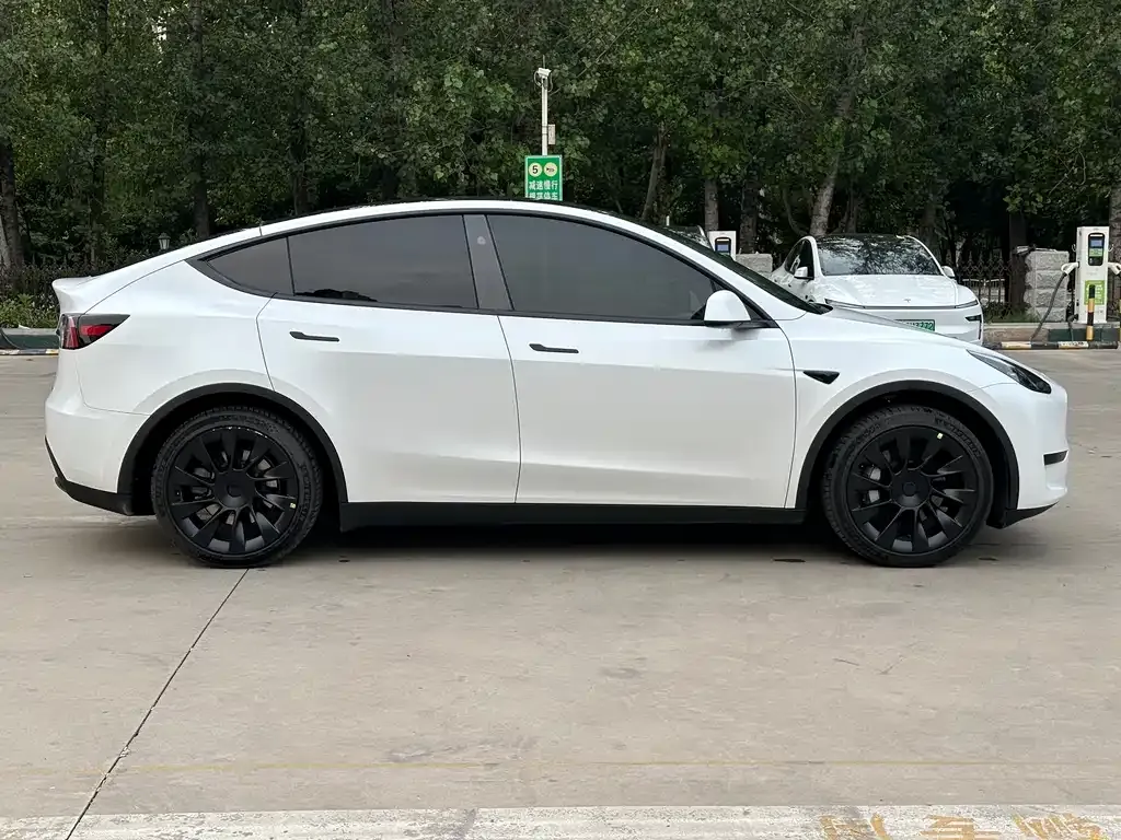 Tesla Model Y 2021 из CN, фото 8