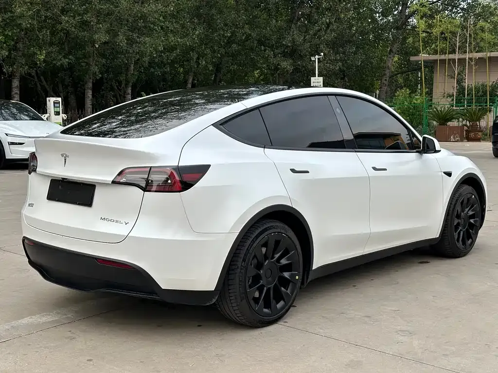 Tesla Model Y 2021 из CN, фото 7