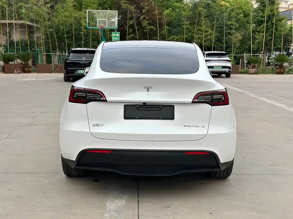 Tesla Model Y 2021 из CN, фото 5