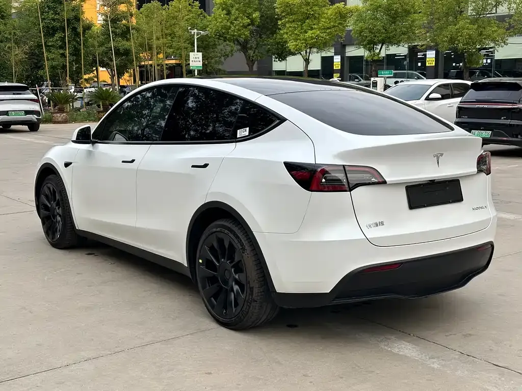 Tesla Model Y 2021 из CN, фото 9