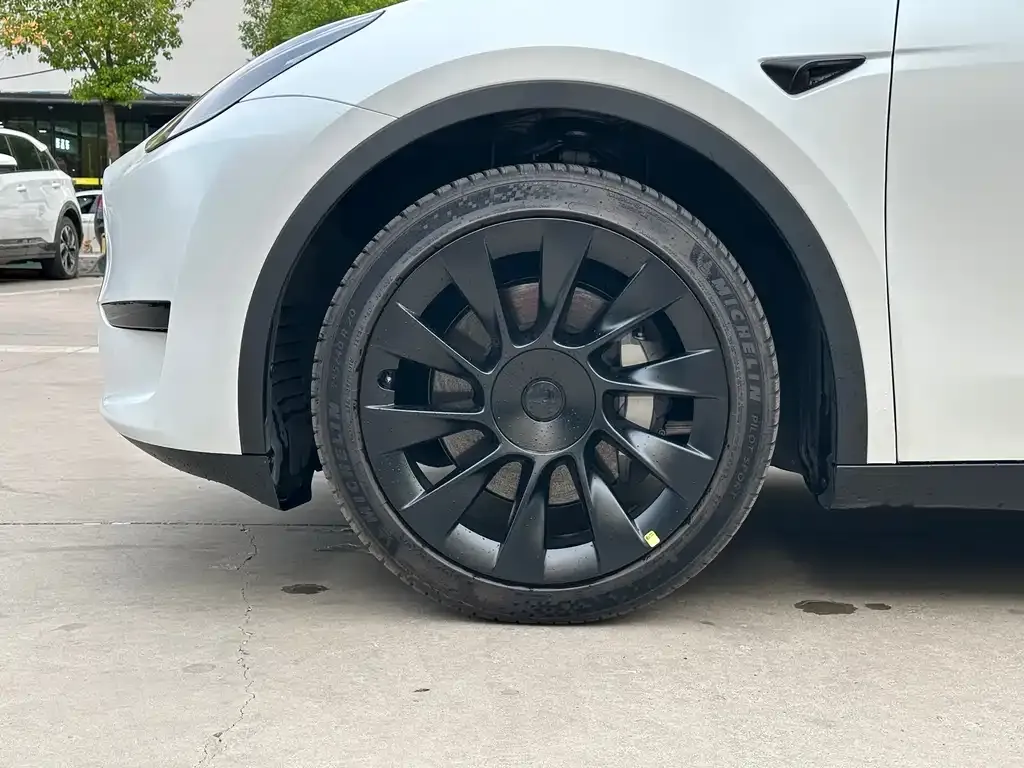 Tesla Model Y 2021 из CN, фото 3