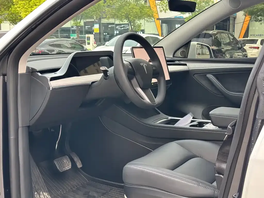 Tesla Model Y 2021 из CN, фото 4