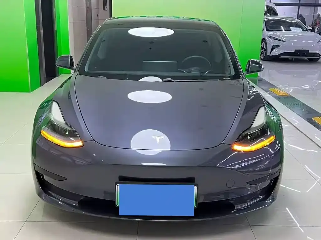 Tesla Model 3 2021 из CN, фото 2