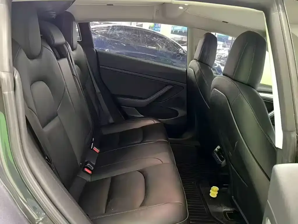Tesla Model 3 2021 из CN, фото 3