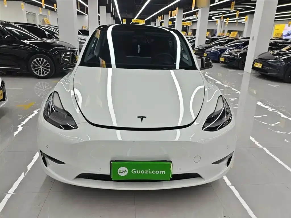 Tesla Model Y 2021 из CN, фото 10